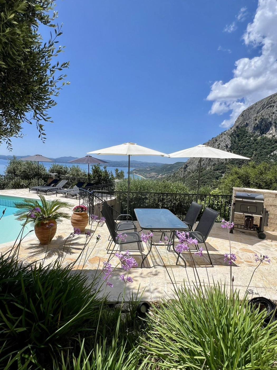 Poolside terrace with agapanthus, umbrellas and the BBQ