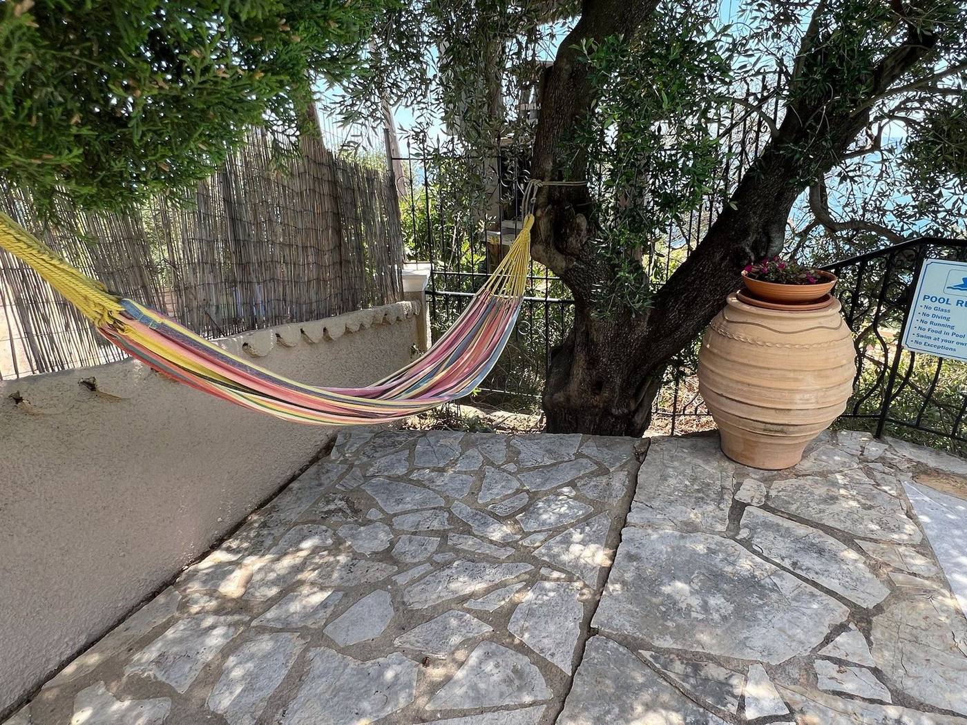 A hammock under the olive tree beside a terracotta urn