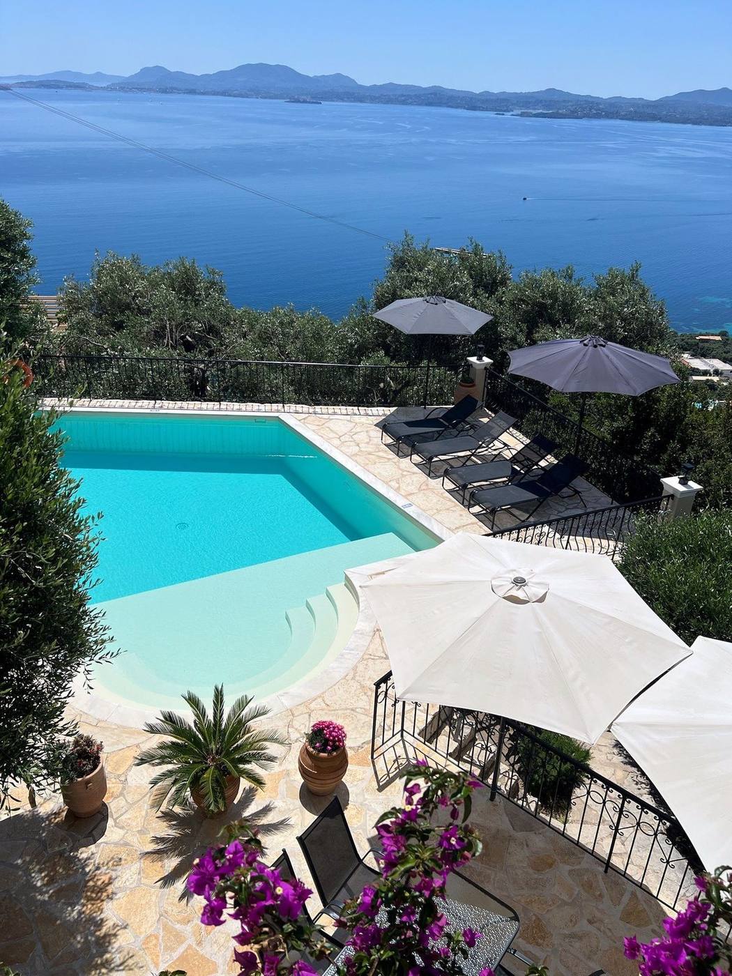 The pool with umbrellas and bougainvillea below the villa