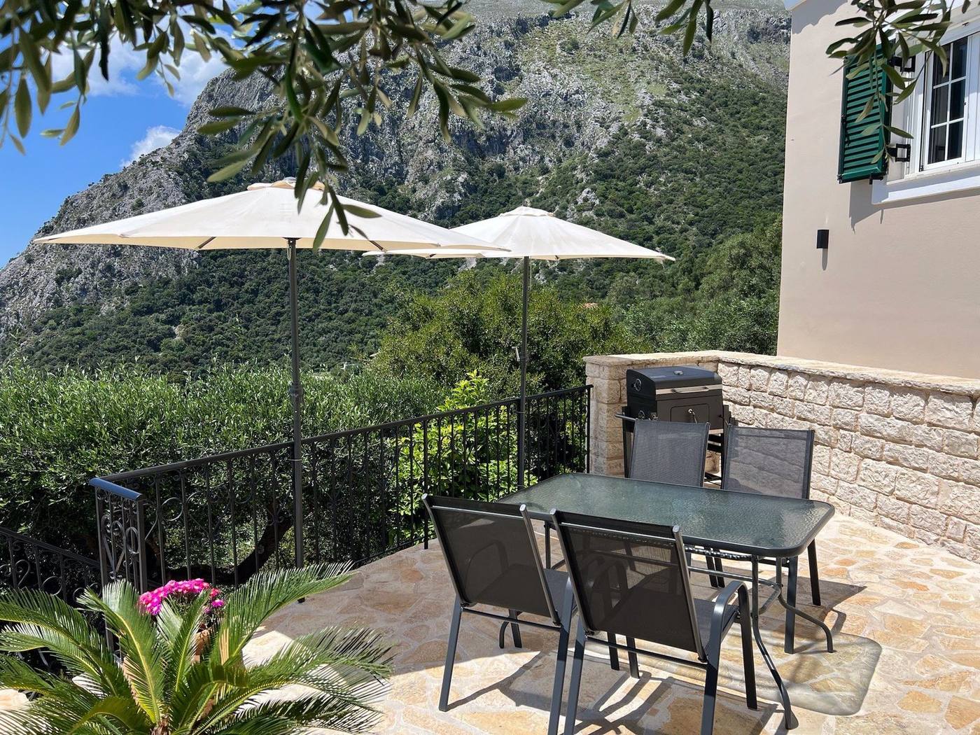 Terrace table under olive branches with the mountain behind