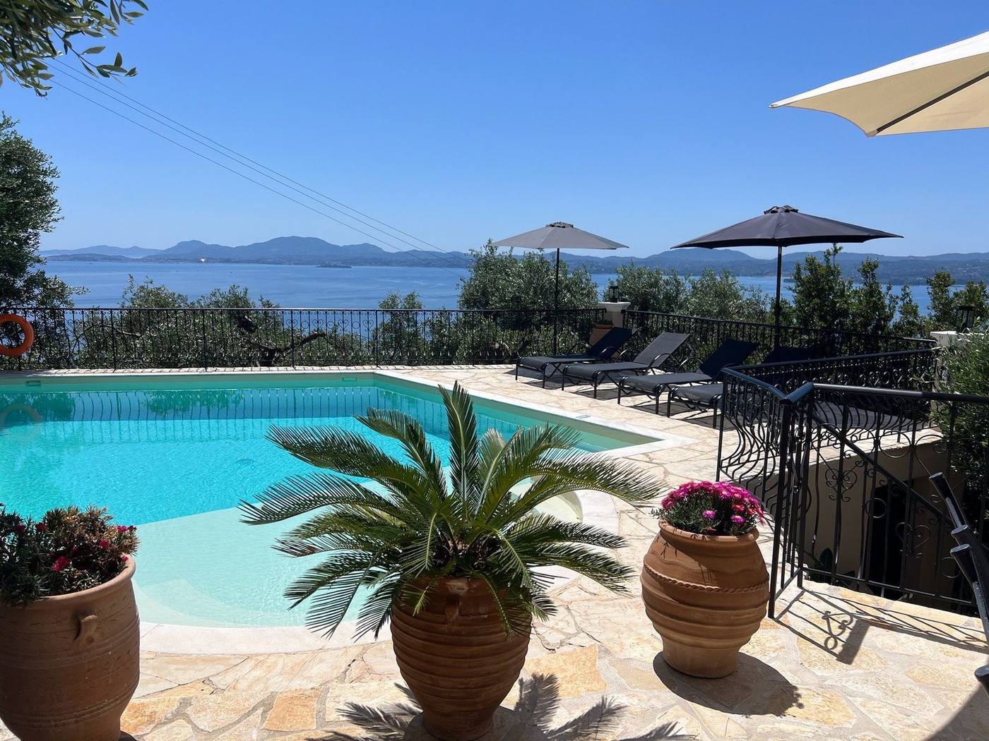Pool with a palm and terracotta urns, sea beyond